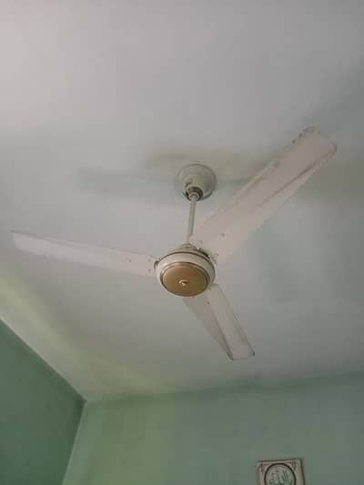 ceiling fan 2 adad