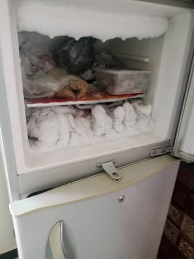 fridge for sale