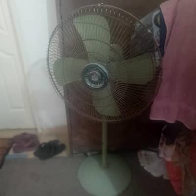 Pesetal fan good quality