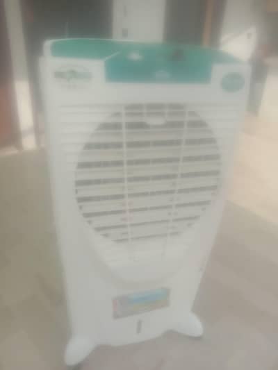 new rakha hai pankhati toot gai wo dali gi bas