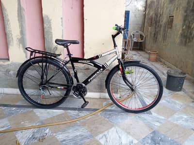 Bicycle Phoenix   Imported Bicycle 26  inches For Sale