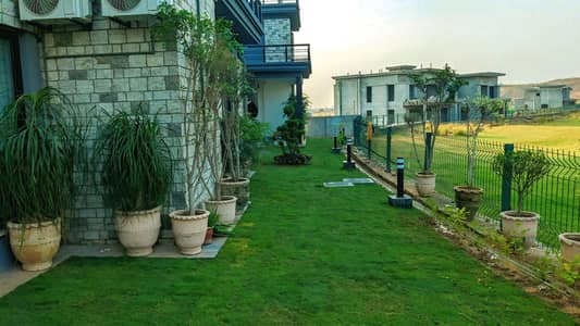 پودوں کے لیے ایکسپرٹ مالی