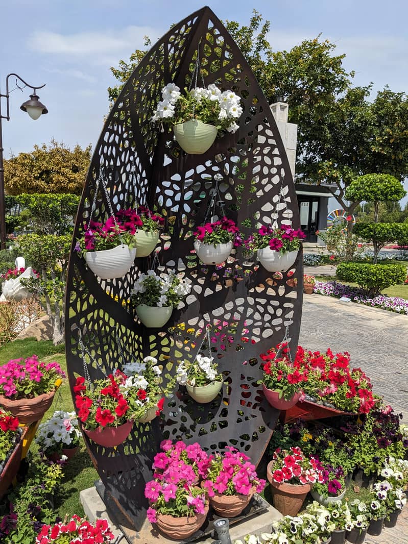 پودوں کے لیے ایکسپرٹ مالی 2