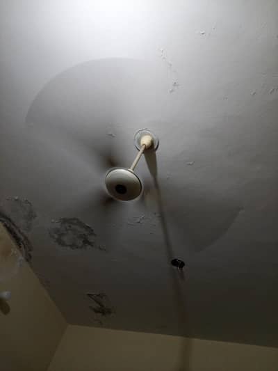 Fan for sell 100% copper
