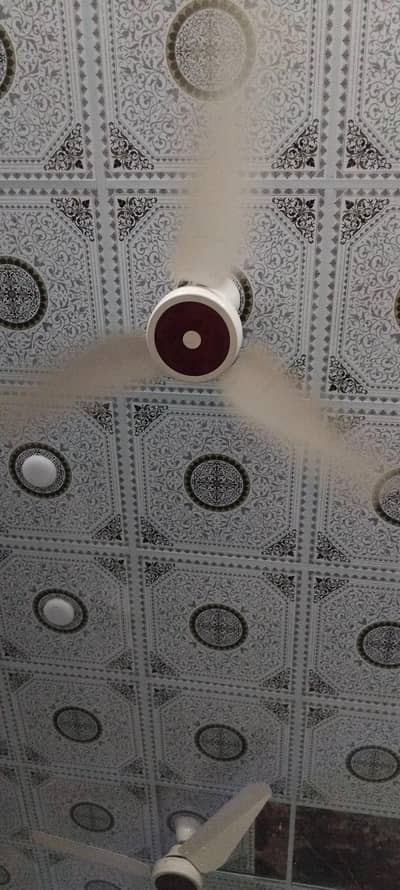 indus fans 2 pcs