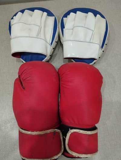 Boxing Gloves + Kick Pads – Lightly Used / Storage Kept