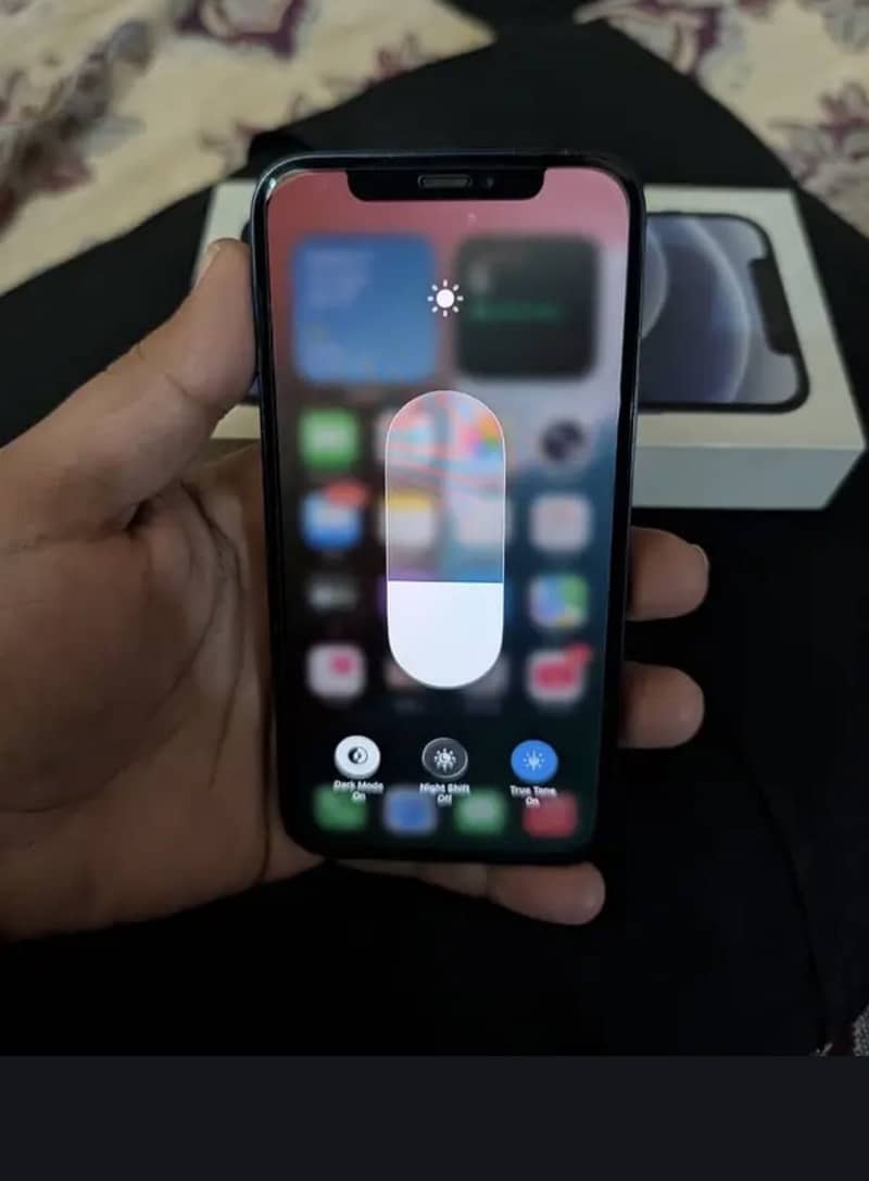 Apple iPhone 12 1