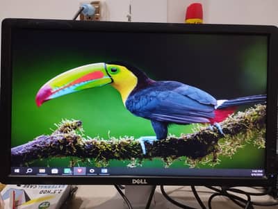 Dell 19" LCD Monitor