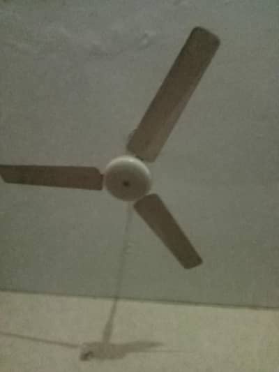 speed fans