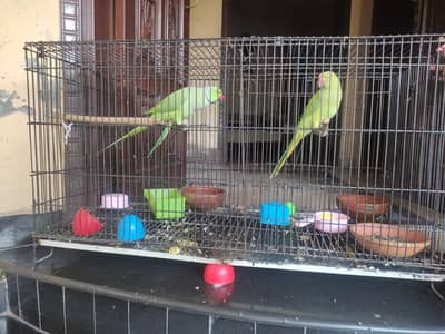 cage portable
