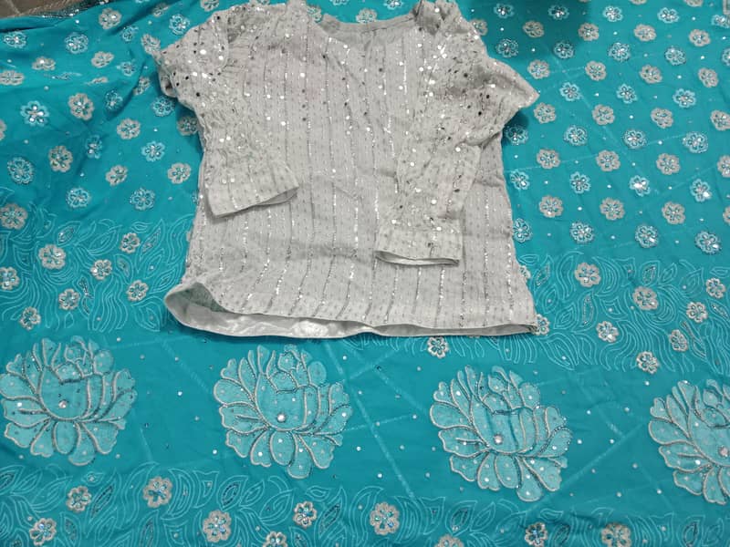 saree 4