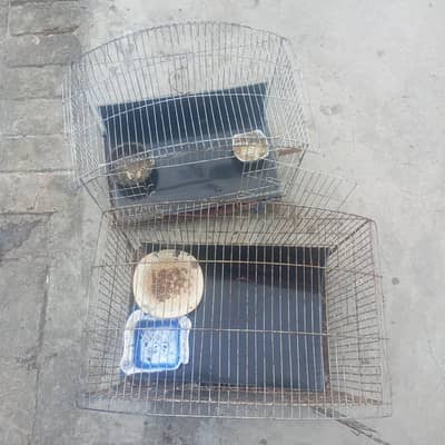 Two Cages