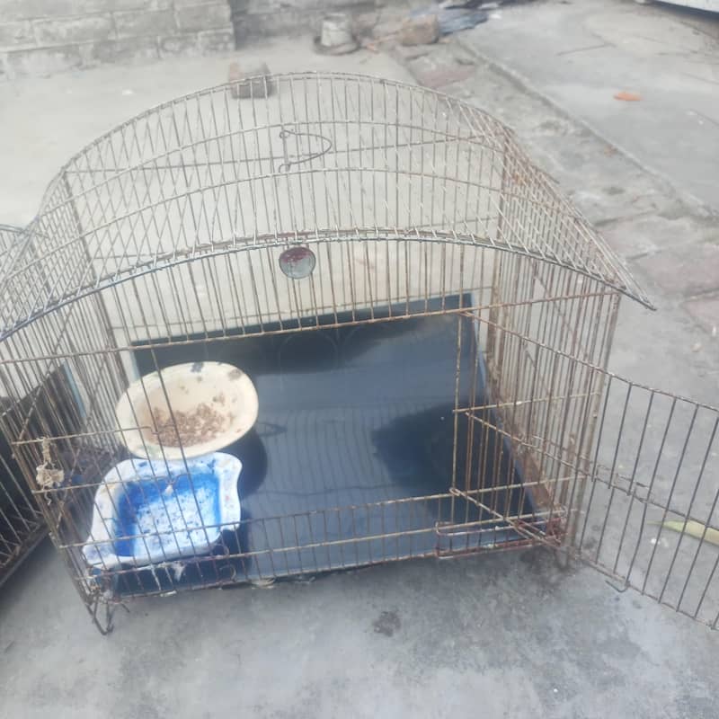 Two Cages 1