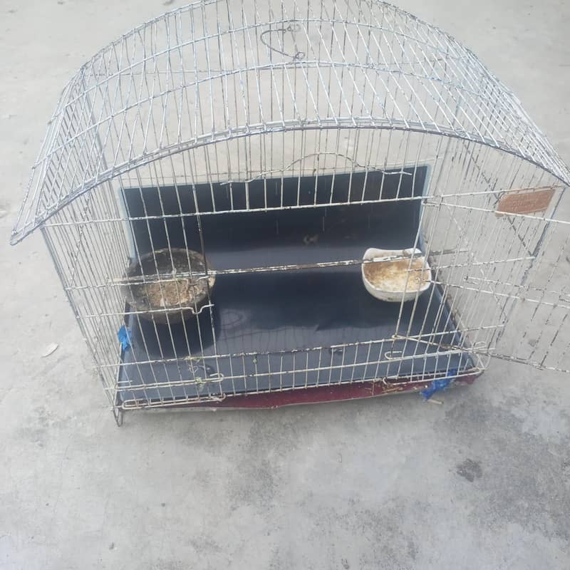 Two Cages 2