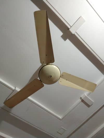 Ceiling fan 220