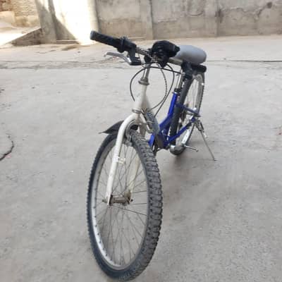 imported bicycle