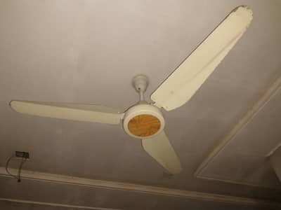 Ceiling fan