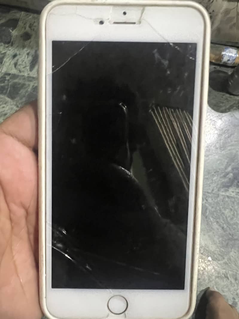 Apple iPhone 6 Plus 1