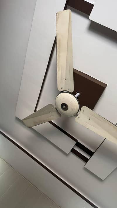 Ceiling fan ( Pak Fan)