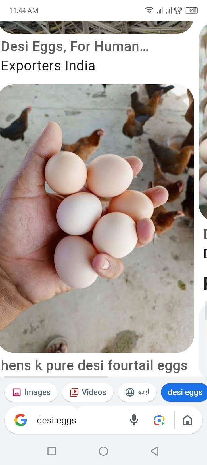 eggs / Andy 2
