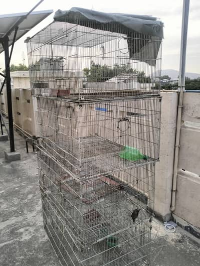 Cage for sale