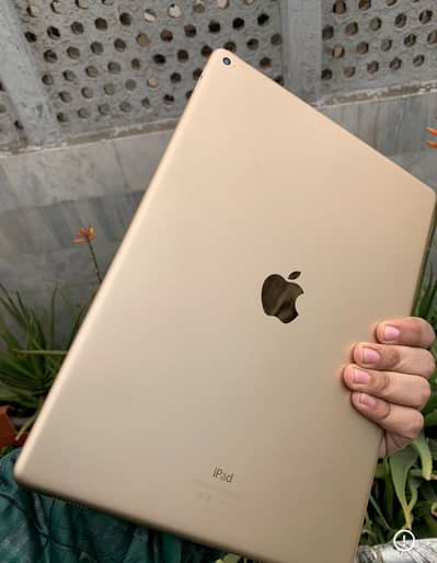 Ipad Pro 12.9 inches