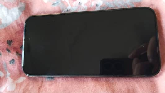 iphone 14 promix