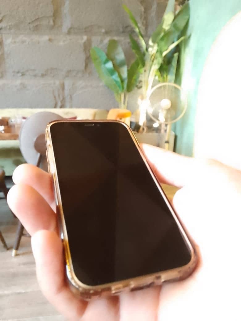 iPhone 12 mini 1