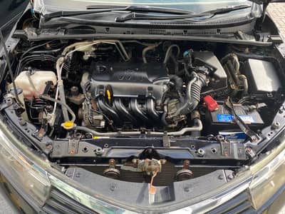 Toyota Corolla GLI 2016