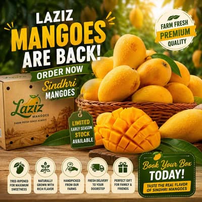 PREMIUM SINDHRI MANGOES