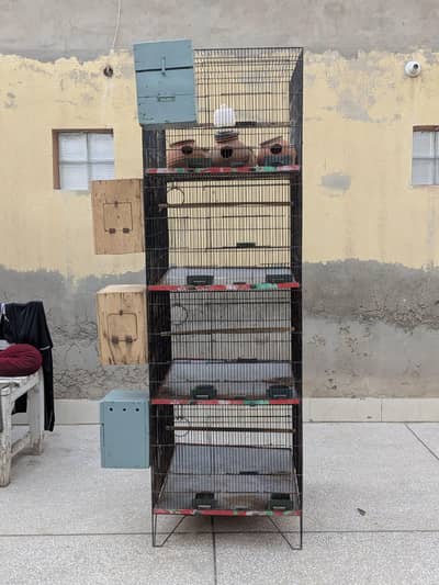 Parrot Cage
