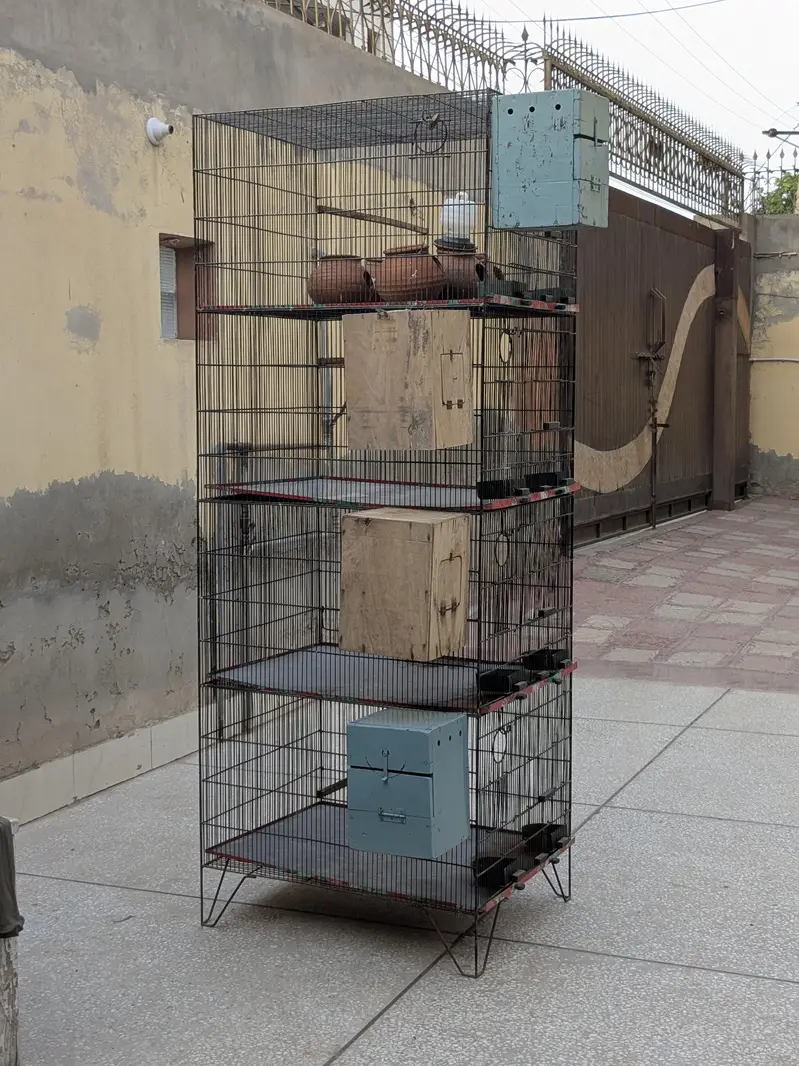Parrot Cage — photo 2