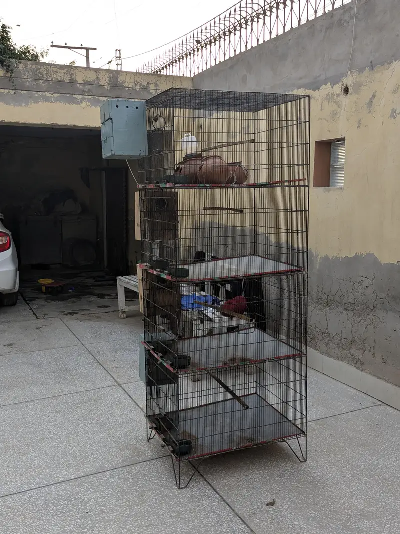 Parrot Cage — photo 3