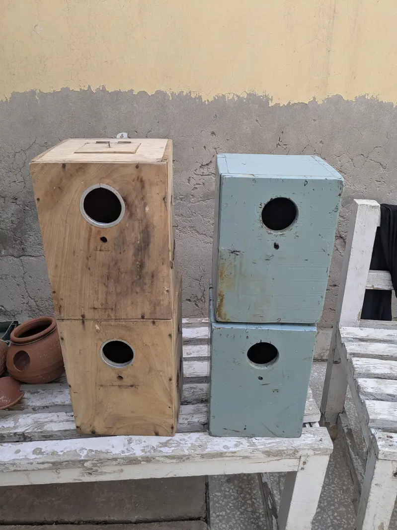 Parrot Cage — photo 4