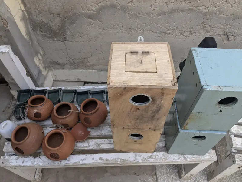 Parrot Cage — photo 6