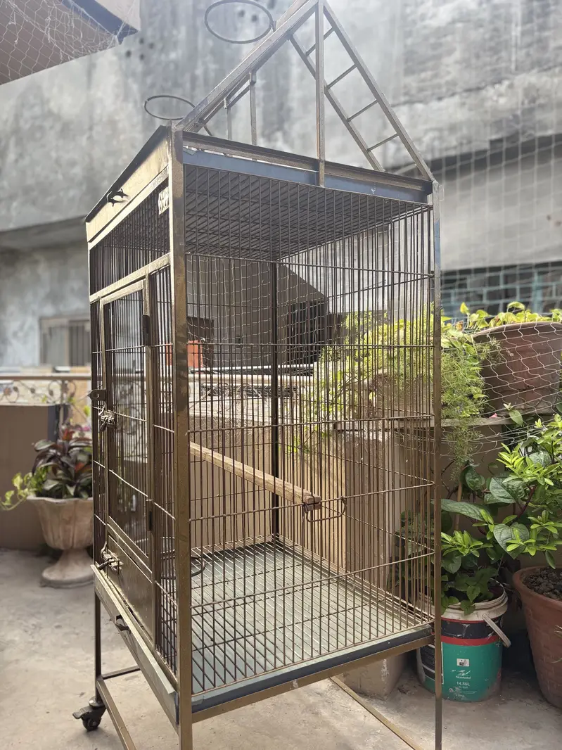 Parrots Cage — photo 2