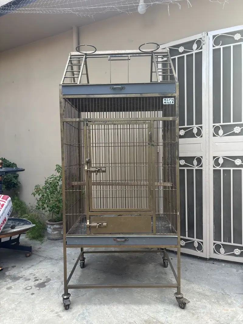 Parrots Cage — photo 3
