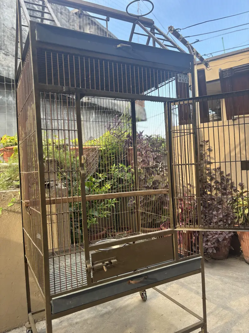 Parrots Cage — photo 4