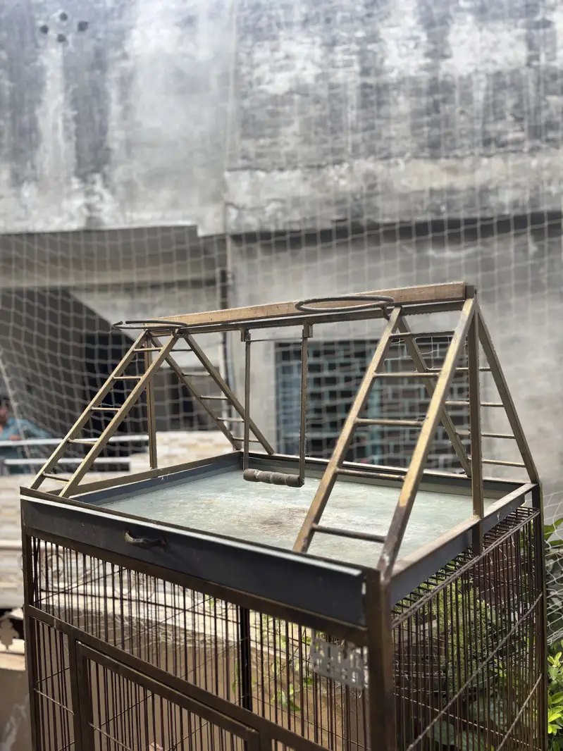 Parrots Cage — photo 5