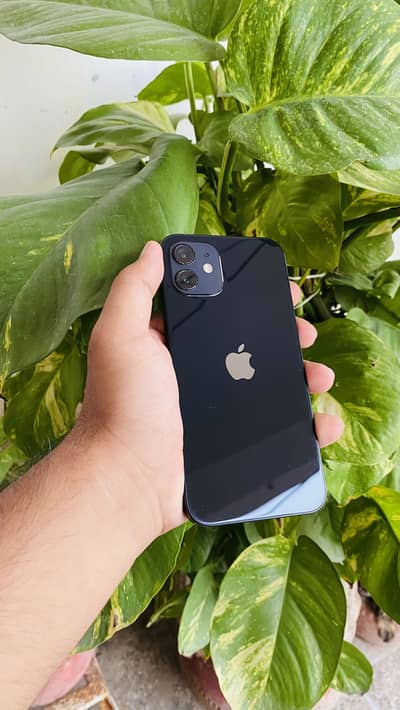 Apple iPhone 12 (Factory unlock)