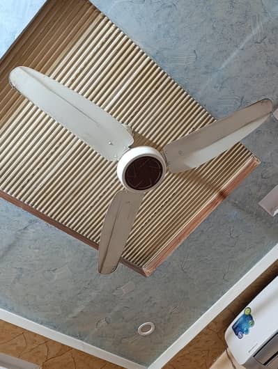 GFC Ceiling Fan