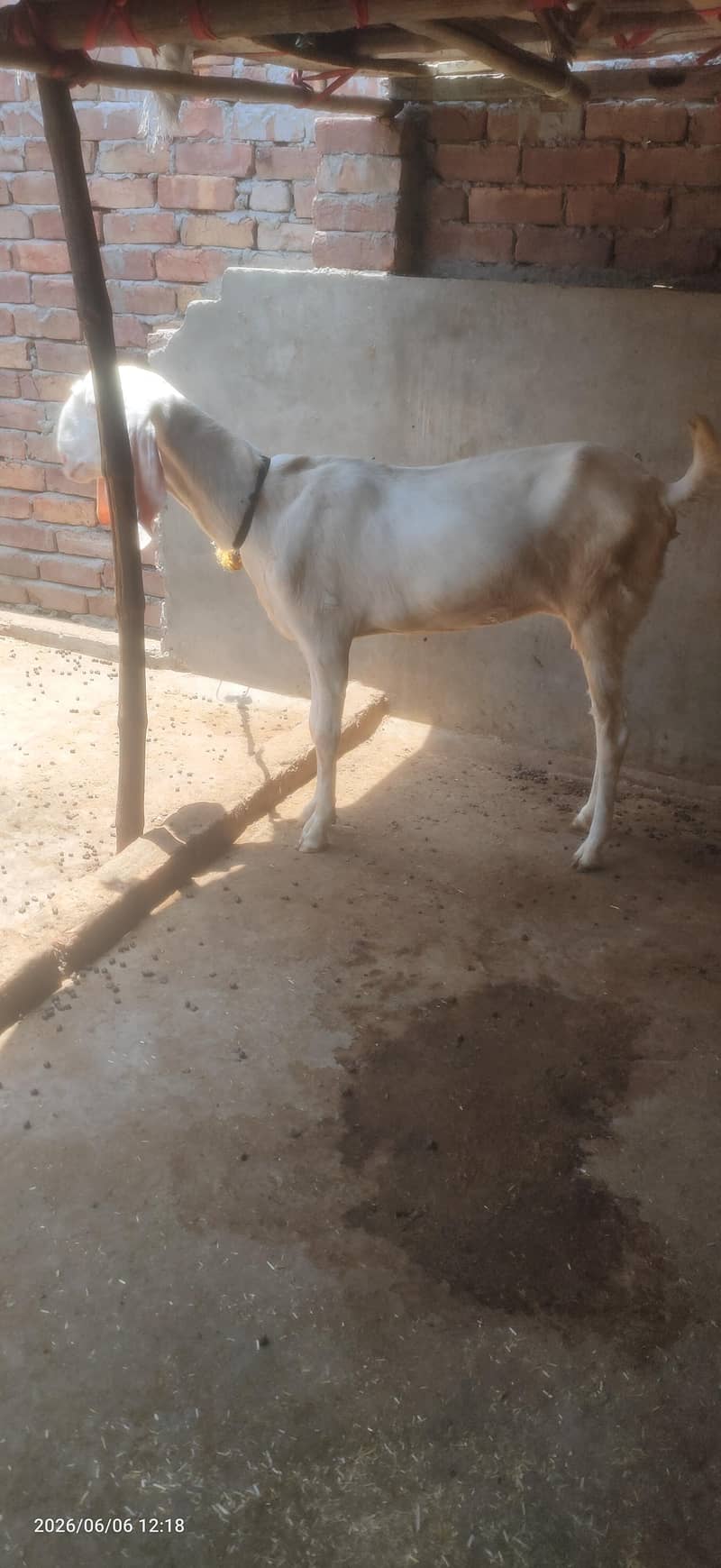 Ablak 3
