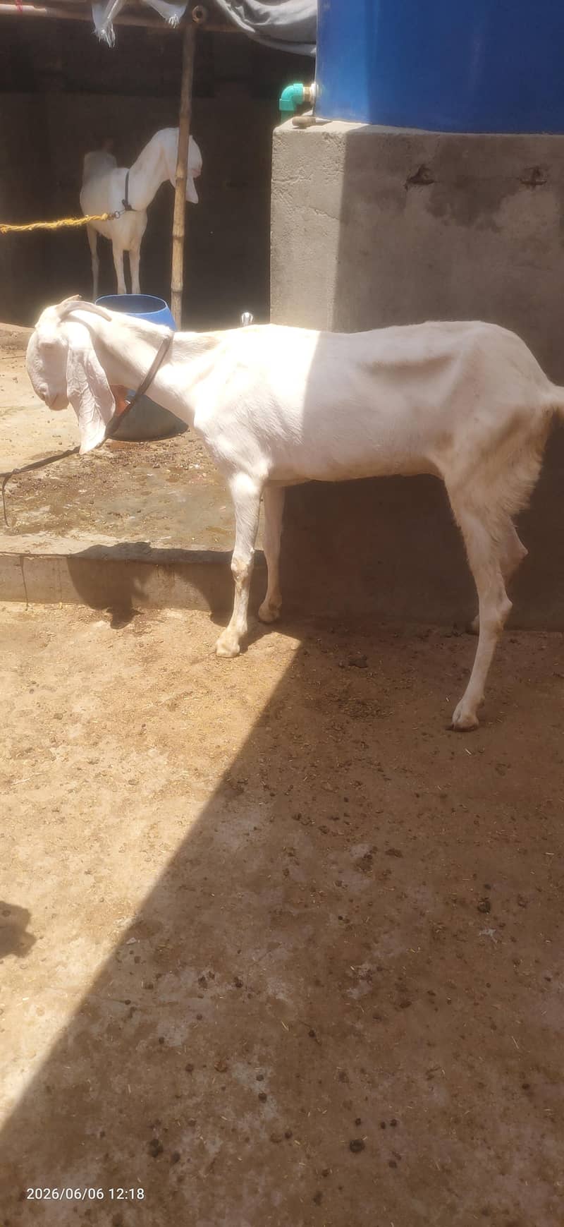 Ablak 4