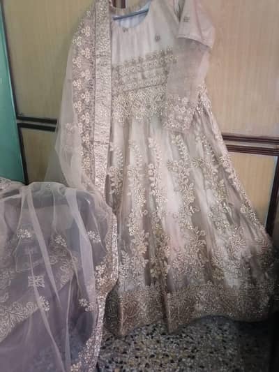 Beautiful Fancy Wedding/Party Wear Dress