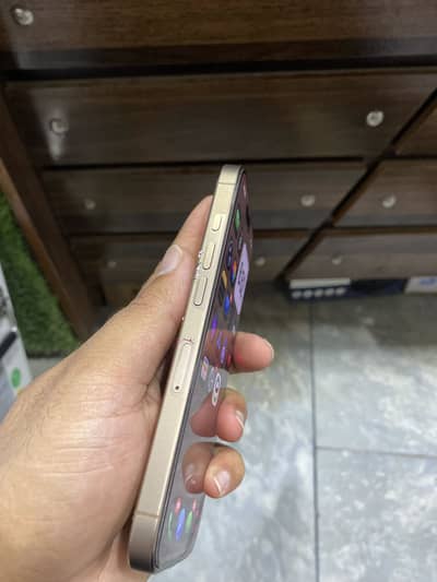 Apple iPhone 16 Pro