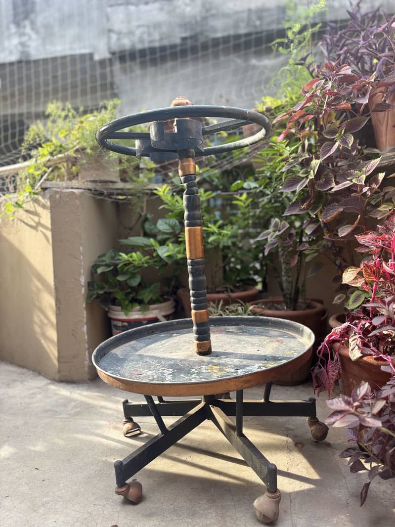 Parrots stand 5