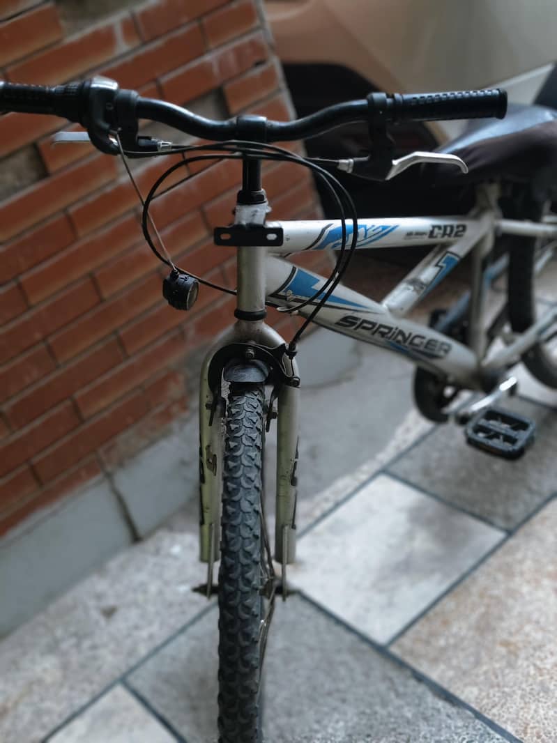 Cycle 1
