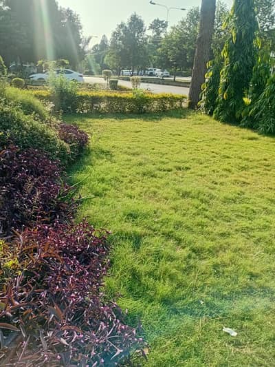 Beautiful Location Upper Portion For Rent in F-11/1