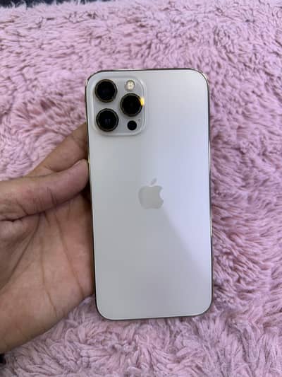 Apple iPhone 12 Pro Max