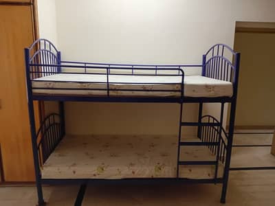 Bunk Bed (without Mattress)